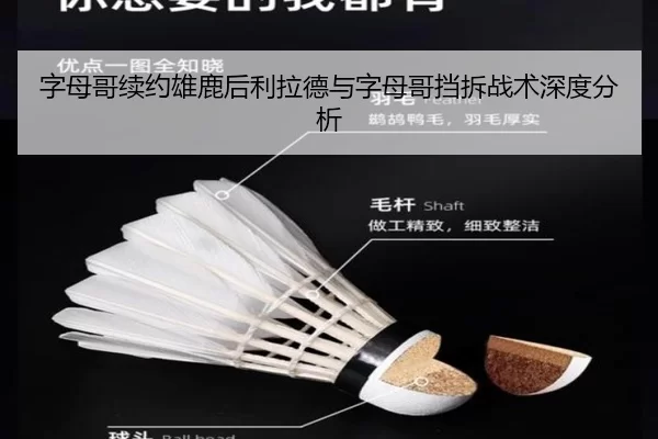 字母哥续约雄鹿后利拉德与字母哥挡拆战术深度分析